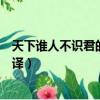 天下誰人不識君的上一句是什么（天下誰人不識君原文及翻譯）