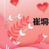 崔垌村（關于崔垌村簡介）