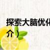 探索大腦優化人生（關于探索大腦優化人生簡介）