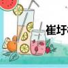 崔圩村（關于崔圩村簡介）