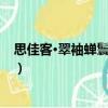 思佳客·翠袖蟬鬟碧玉簪（關于思佳客·翠袖蟬鬟碧玉簪介紹）