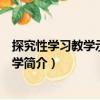 探究性學習教學示例：化學（關于探究性學習教學示例：化學簡介）