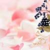 定根（關于定根介紹）