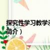 探究性學習教學示例·美術（關于探究性學習教學示例·美術簡介）