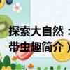 探索大自然：熱帶蟲趣（關于探索大自然：熱帶蟲趣簡介）