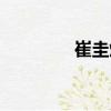 崔圭煥（關于崔圭煥簡介）