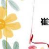 崔妮（關于崔妮簡介）