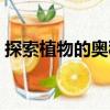 探索植物的奧秘（關于探索植物的奧秘簡介）