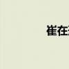 崔在形（關于崔在形簡介）