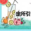 定所引色（關于定所引色介紹）