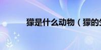 獴是什么動物(獴的生活習性)