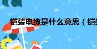鎧裝電纜是什么意思(鎧裝電纜的解釋)