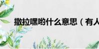 撒拉嘿喲什么意思(有人對你說過嗎)