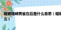 螳螂捕蟬黃雀在后是什么意思(螳螂捕蟬黃雀在后意思是什么)