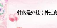什么是外掛(外掛有什么用)