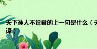 天下誰人不識君的上一句是什么(天下誰人不識君原文及翻譯)