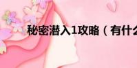 秘密潛入1攻略(有什么玩的步驟)