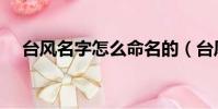 臺風名字怎么命名的(臺風怎么起名字)
