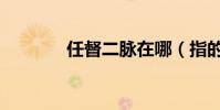 任督二脈在哪(指的是什么)