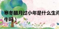 寒冬臘月過小年是什么生肖(寒冬臘月是生肖牛嗎)