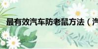 最有效汽車防老鼠方法(汽車怎么防老鼠)