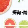 探詢·跨越（關于探詢·跨越簡介）