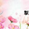 掣曳（關于掣曳簡介）