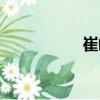 崔峰（關于崔峰簡介）