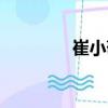 崔小敬（關于崔小敬簡介）