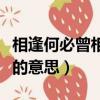 相逢何必曾相識是什么意思（相逢何必曾相識的意思）