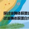 探討溶酶體膜蛋白Sidt2在細胞自噬/凋亡中的作用（關于探討溶酶體膜蛋白Sidt2在細胞自噬/凋亡中的作用簡介）