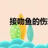 接吻魚的傷悲（關于接吻魚的傷悲簡介）
