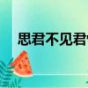 思君不見君悅（關于思君不見君悅介紹）