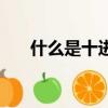 什么是十進制數法（十進制數法解釋）
