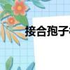 接合孢子柄（關于接合孢子柄簡介）