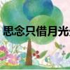 思念只借月光光（關于思念只借月光光介紹）