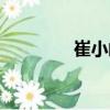 崔小鬧（關于崔小鬧簡介）