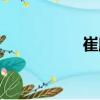崔廓（關于崔廓簡介）