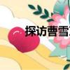 探訪曹雪芹（關于探訪曹雪芹簡介）