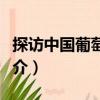 探訪中國葡萄酒莊（關于探訪中國葡萄酒莊簡介）