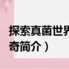 探索真菌世界的神奇（關于探索真菌世界的神奇簡介）