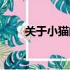關于小貓的資料（小貓的資料簡述）