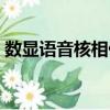 數顯語音核相儀（關于數顯語音核相儀簡介）
