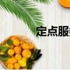 定點服務（關于定點服務介紹）
