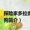 探險家多拉多拉小狗（關于探險家多拉多拉小狗簡介）