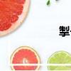 掣子（關于掣子簡介）