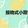 接吻式小甜餅（關于接吻式小甜餅簡介）