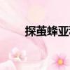 探繭蜂亞科（關于探繭蜂亞科簡介）