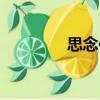 思念你（關于思念你介紹）