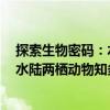 探索生物密碼：水陸兩棲動物知多少（關于探索生物密碼：水陸兩棲動物知多少簡介）